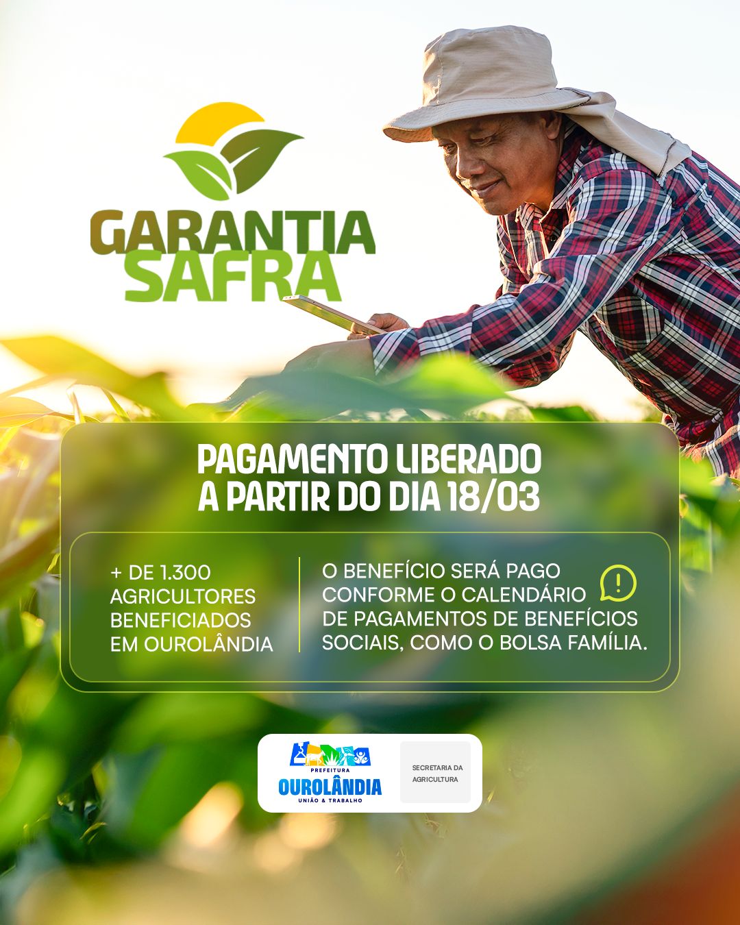 Garantia Safra começa a ser pago em Ourolândia a partir desta terça ...