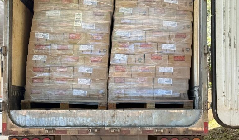 Caminhão com 25 toneladas de salsicha vencida é apreendido pela Polícia Civil na BR-324