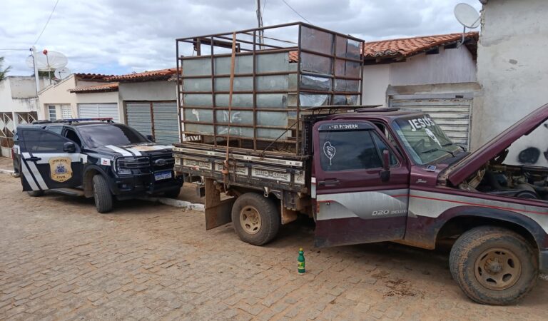 Polícia Civil localiza veículo roubado e descobre desmanche clandestino em Mairi